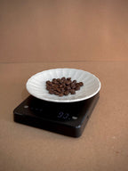 DIGITAL COFFEE SCALE WITH AUTO-TIMER AND MAT